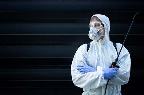 pest-control-services